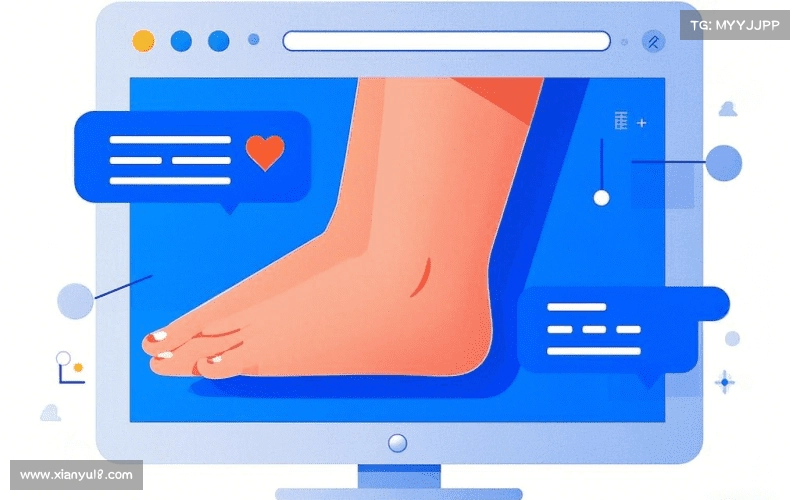 用户体验分享区